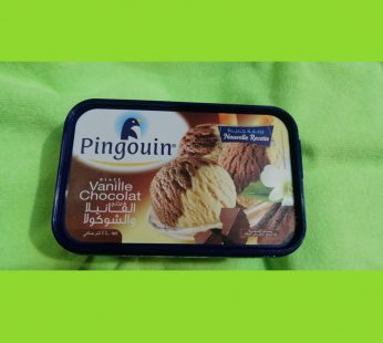 Pingouin Vanille Chocolat ICE cream 1kg -1L