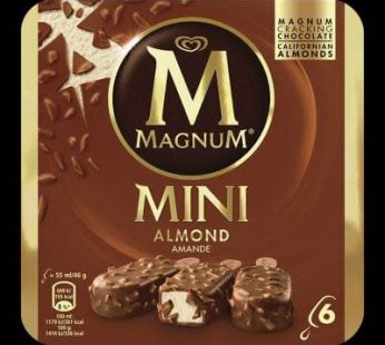 Magnum Mini Almond 6ps
