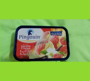 Pingouin Vanille Fraise  ICE cream 1kg-1L