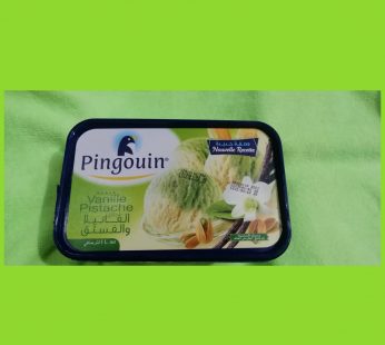 Pingouin Vanille Pistache ICE cream 1kg