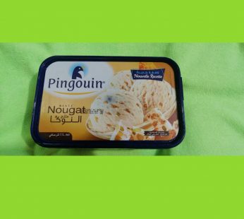 Pingouin Nougat ICE cream  1L  -1k