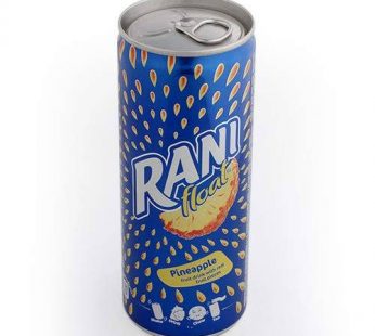 Rani Ananas Drink 240 Ml