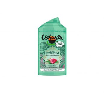 Ushuaia Bio D’ayurveda Amla Purifiant & Gingembre 250 Ml