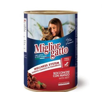 Miglior Gatto Bocconi Con Manzo