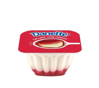 Danette Framboise Danone Pack 4 Pieces