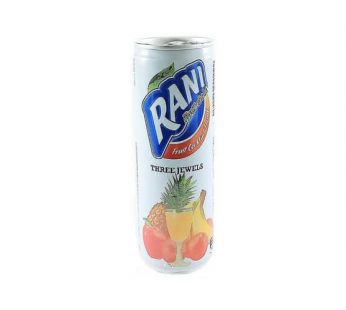 Rani Fruit Drink 240ml