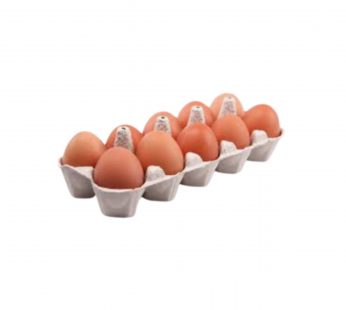 LES œufs 10 pièces