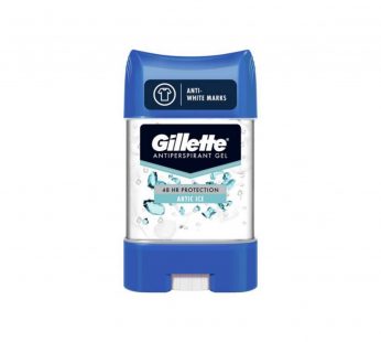 Gillette 48 Hr Protection Arctic Ice