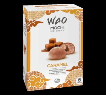 wao  mochi. ICE cream caramel. 6