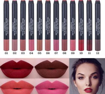 gabrini matte  lipstck. crayon velvet touch rich COLOR. (1pies)