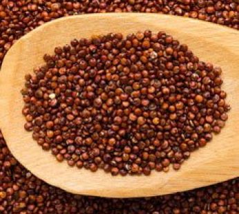 Quinoa rouge 450g