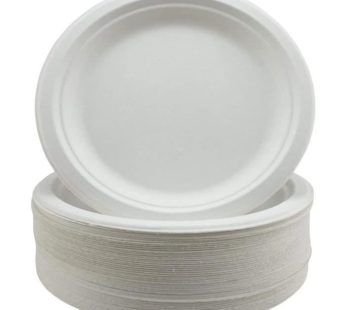 Assiettes en plastique  25 pièce ×  17cm
