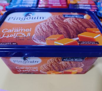 pingouin caramel ICE cream 1L -1k