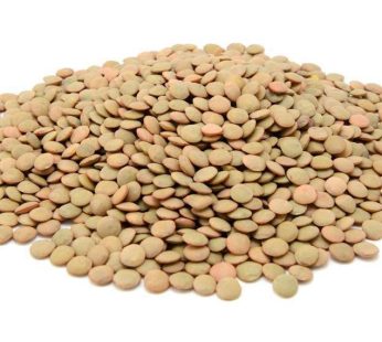 lentilles 1kg