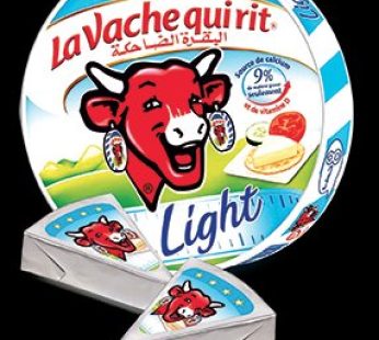 la vache qui rit   Light 16 portions