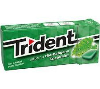 Trident fresh spearmint  sugar Free 14g