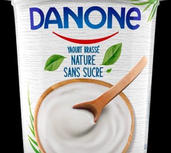 Danone yaourt brassé nature sans sucre