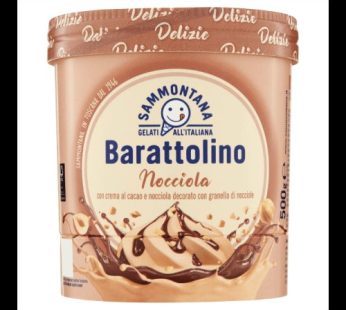 Barattolino nocciola ICE crème  800g