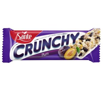 santé muesli bar crunchy  plum